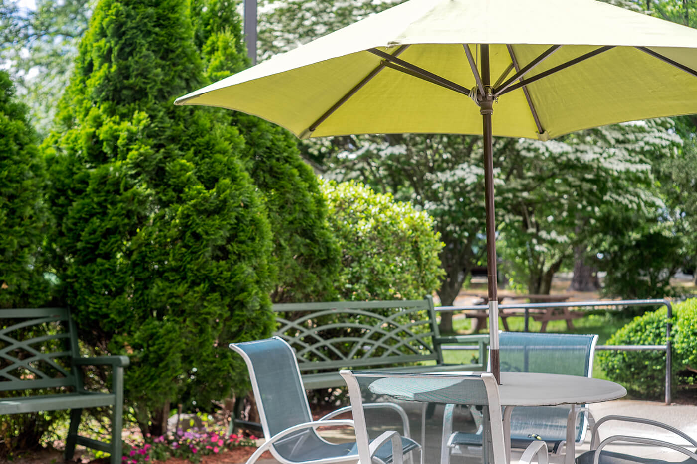 patio